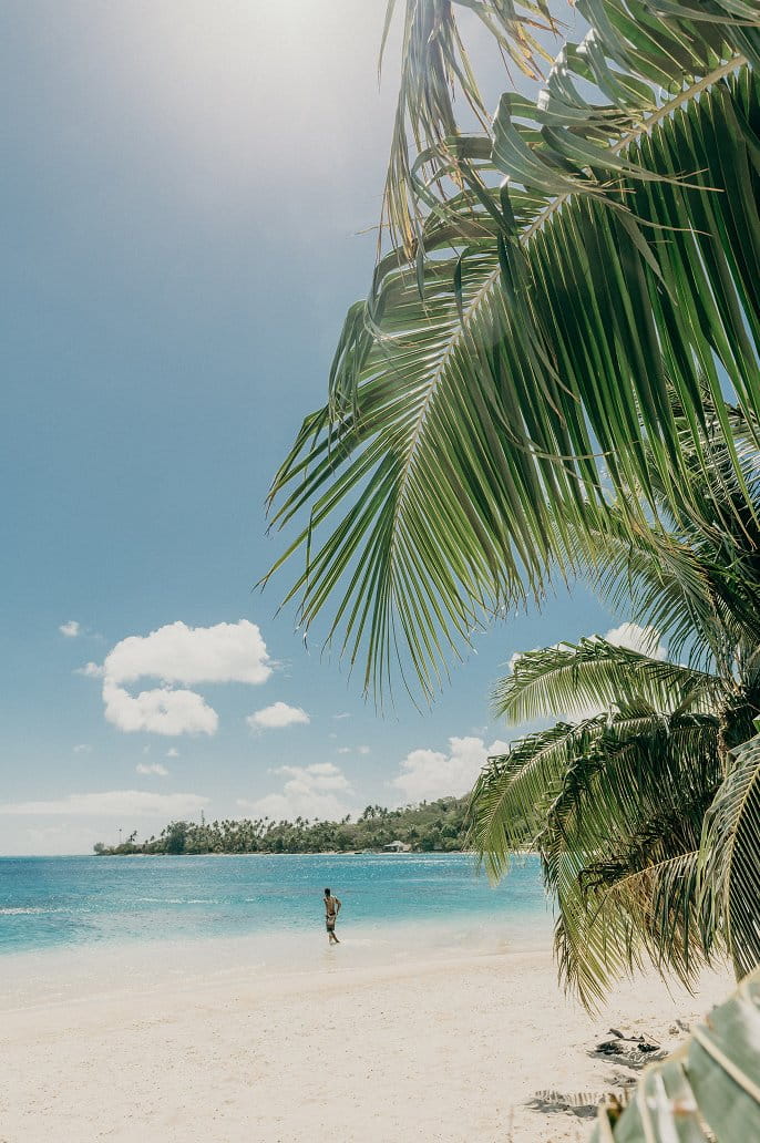 Feuillage de palmier encadrant quelqu’un qui avance dans le lagon cristallin depuis une plage de sable blanc jusqu’aux îlots boisés.