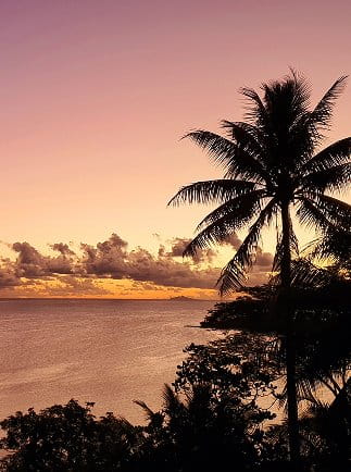 Cocotier en silhouette au coucher du soleil sur une eau tropicale calme, ciel rose et orange.