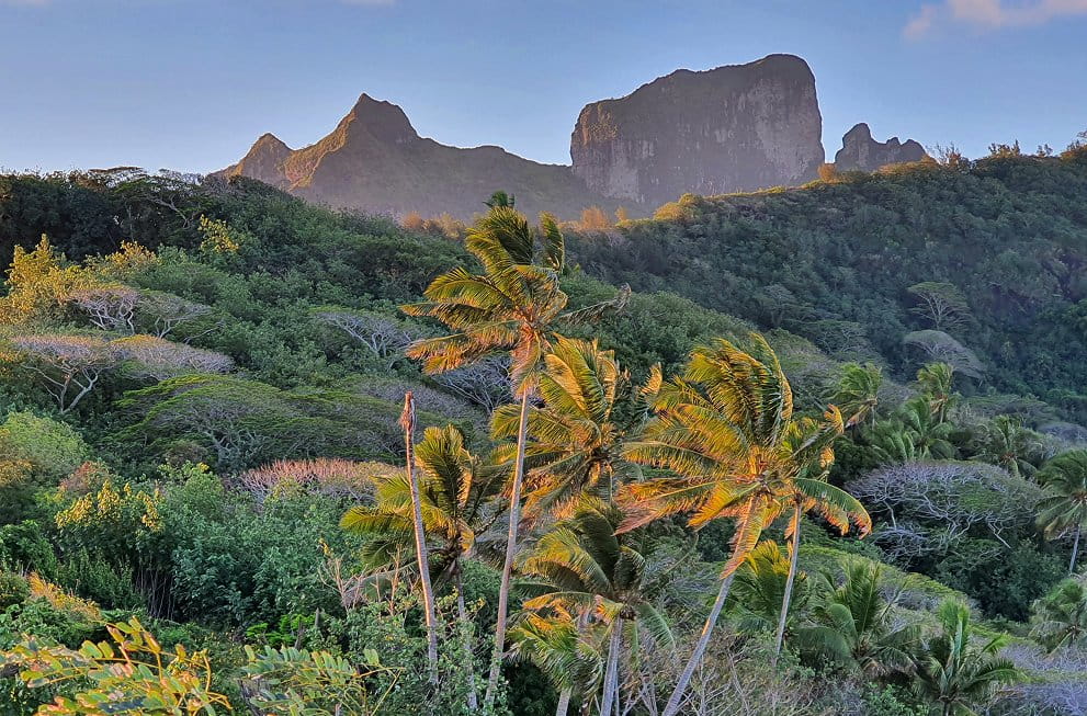Mont Otemanu et cocotiers à l'heure dorée au-dessus d'une forêt tropicale luxuriante, Bora Bora.