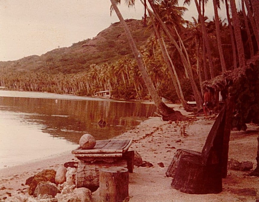 Curved white beach meeting calm turquoise shallows bordered by leafy tropical shoreline