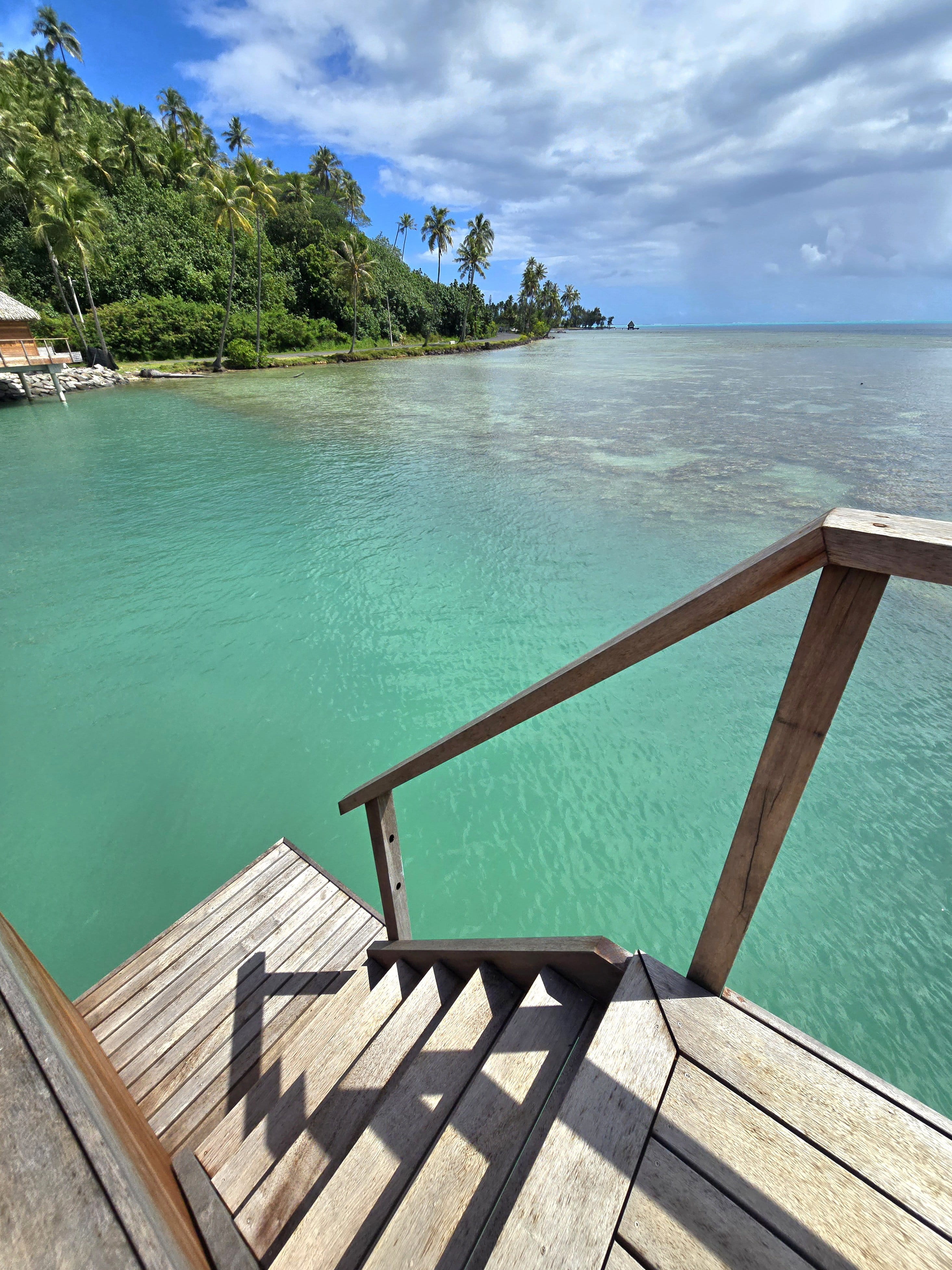 Vue depuis des marches en bois au-dessus d'un lagon turquoise limpide vers une côte bordée de cocotiers.